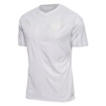 Maillot/Tenue Danemark Exterieur Coupe du monde 2022